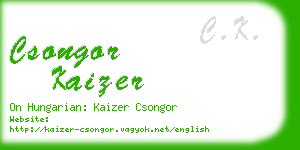 csongor kaizer business card